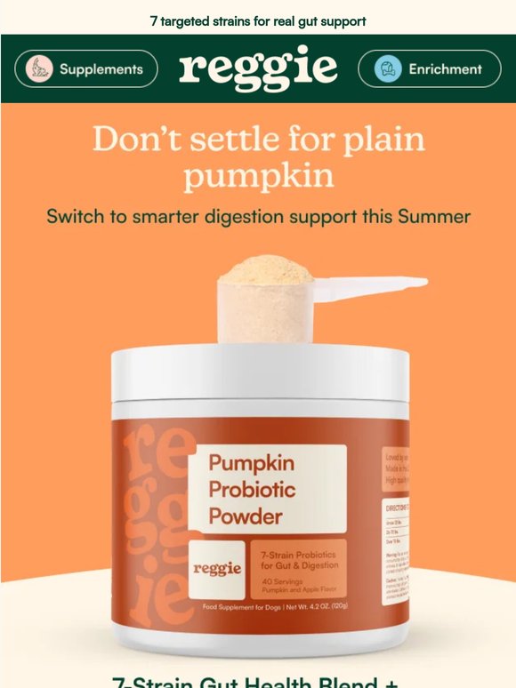 Beyond Pumpkin: what your dog’s gut actually needs