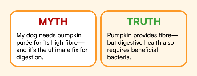 Digestion Myth