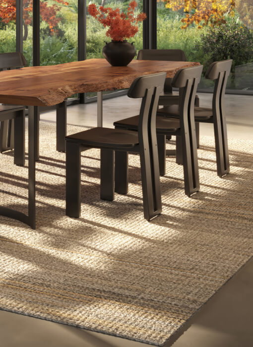 Rugs & Decor →