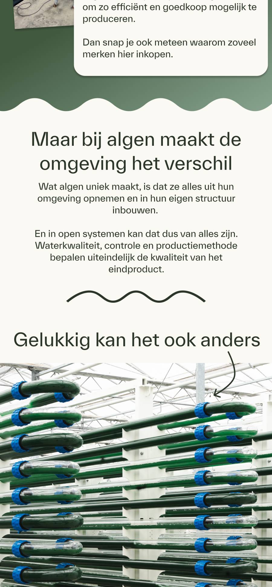 maar bij algen maakt de omgeving juist het verschil. en zorgt voor kwaliteit