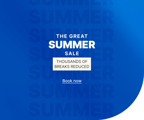The Great Summer Sale