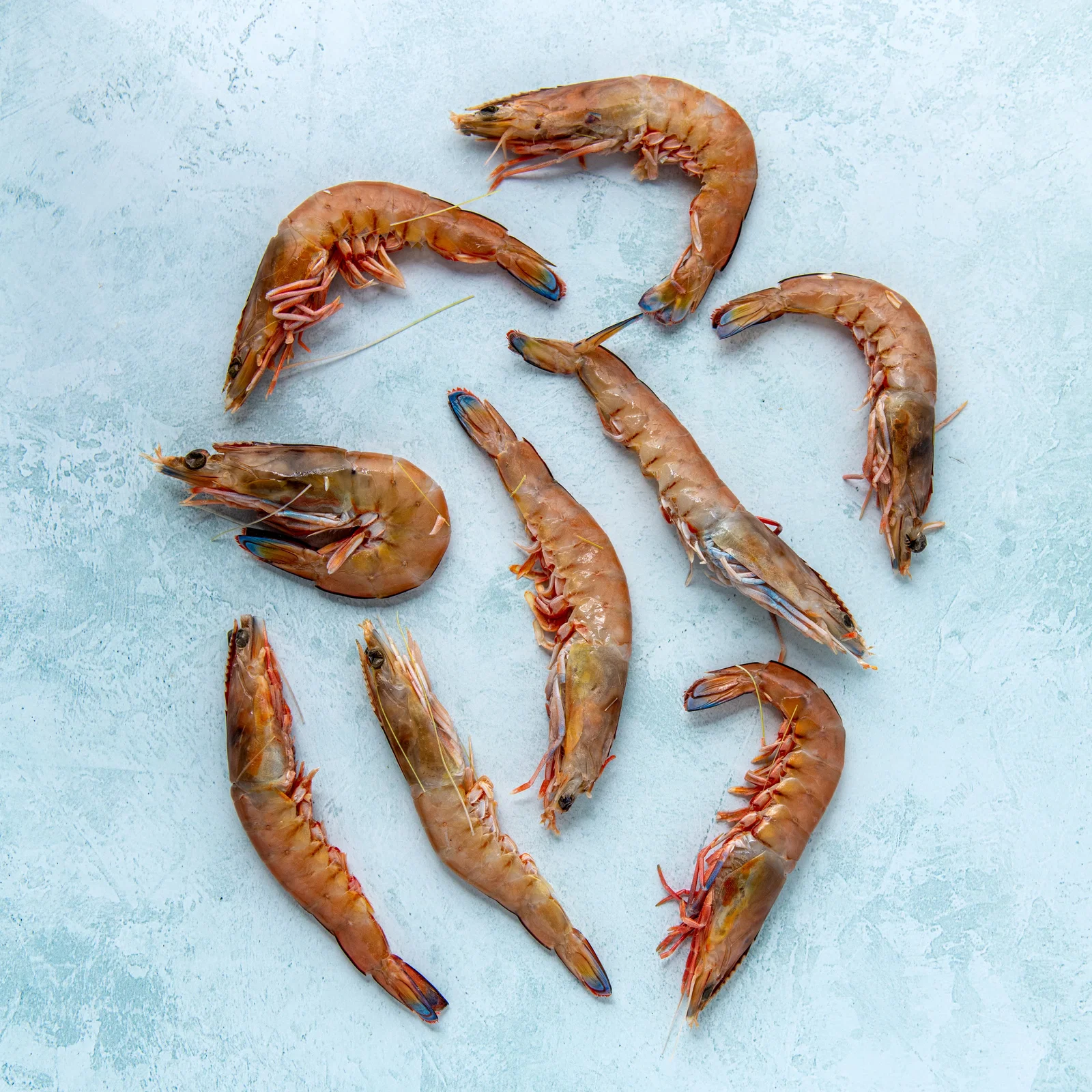 Image of Whole Wild King Prawns - Spencer Gulf South Australian