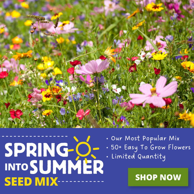 Spring into summer mix