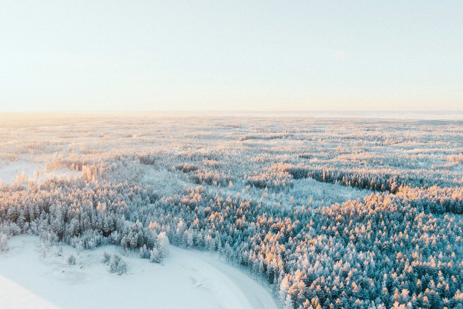 Scandi Crush 