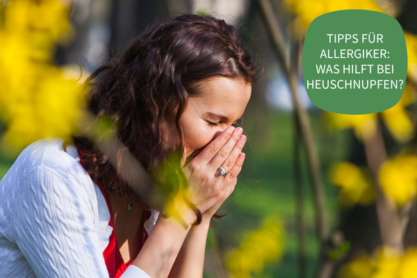 newsletter header bild