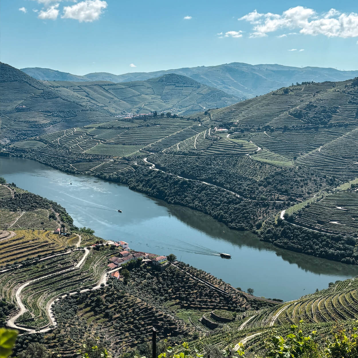 The Inntravel team in the Douro Valley - 2