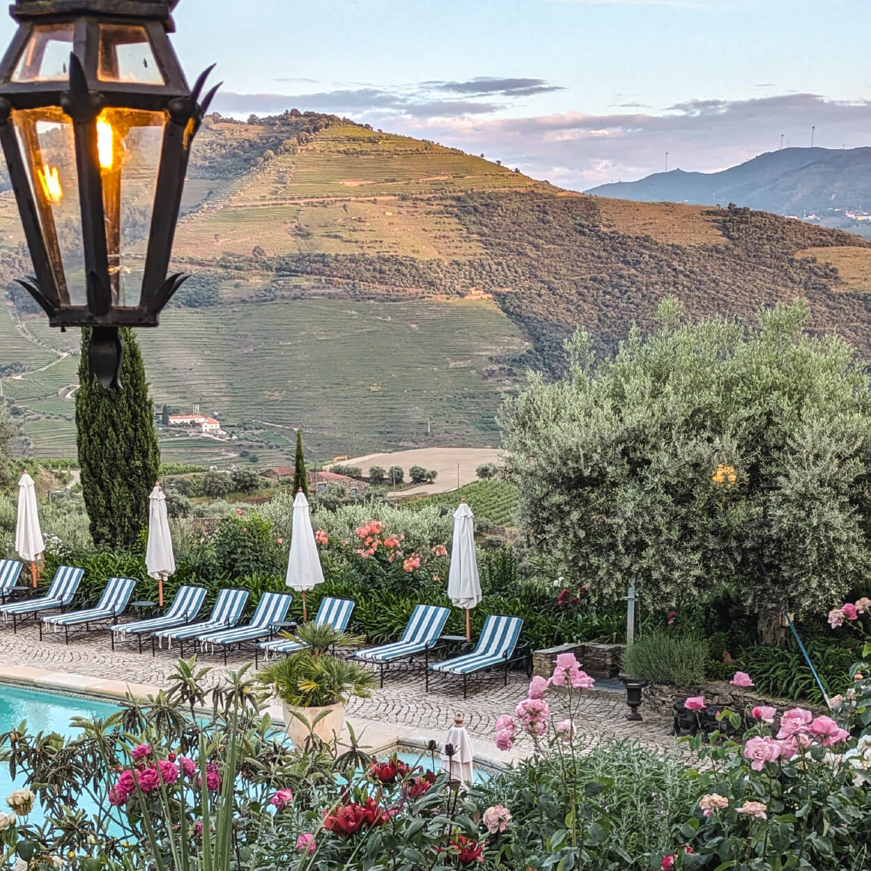 The Inntravel team in the Douro Valley - 3