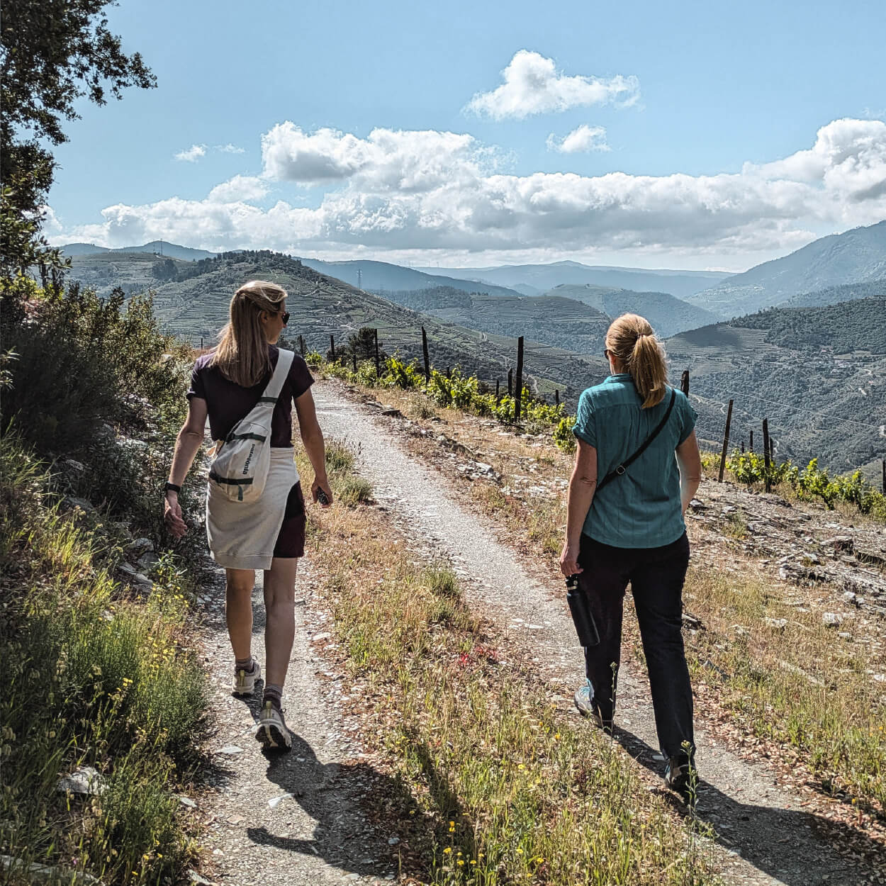 The Inntravel team in the Douro Valley - 4