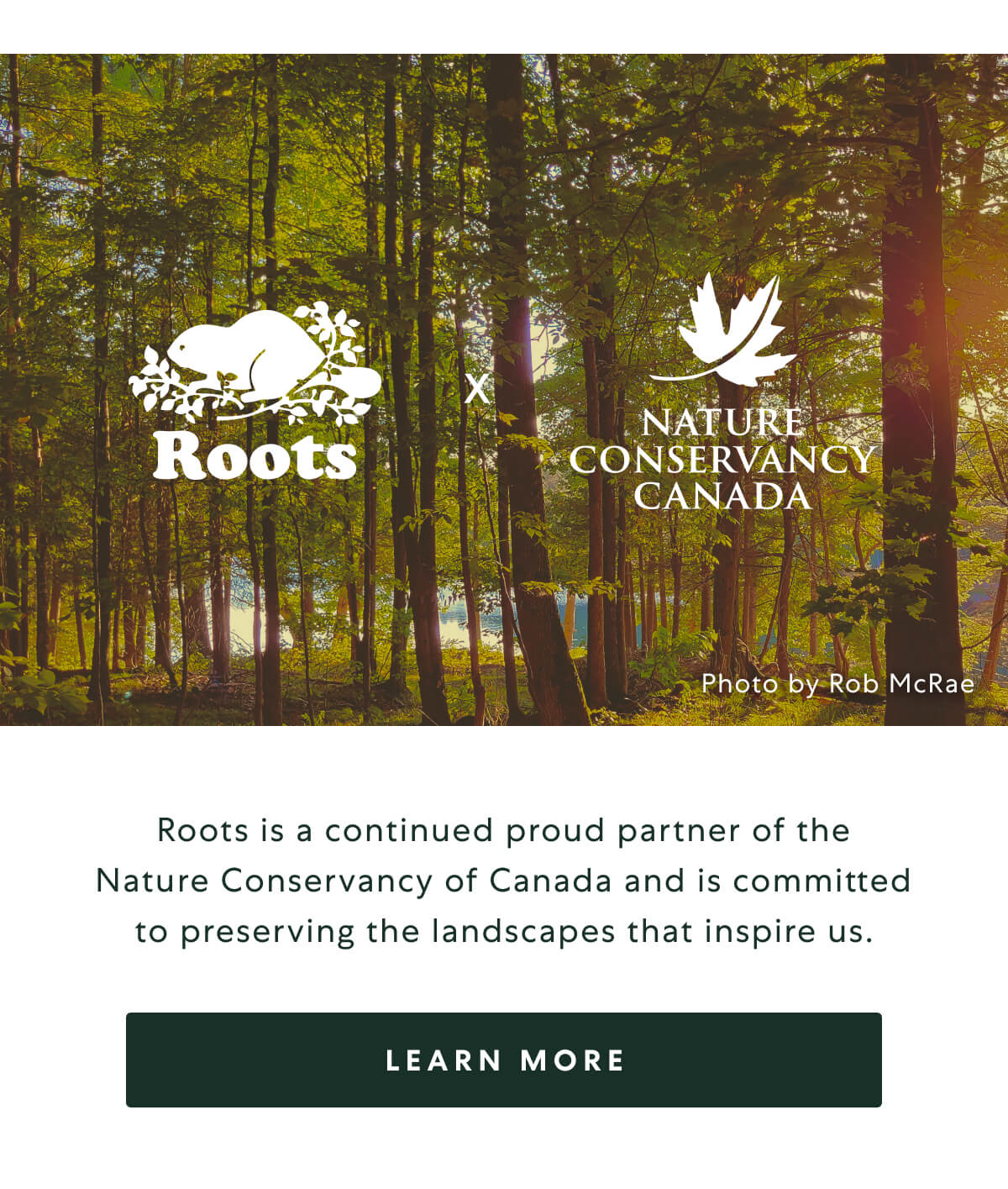 Roots is a continued proud partner of the Nature Conservancy of Canada and is comitted to preserving the landscapes that inspire us.  -  [LEARN MORE]