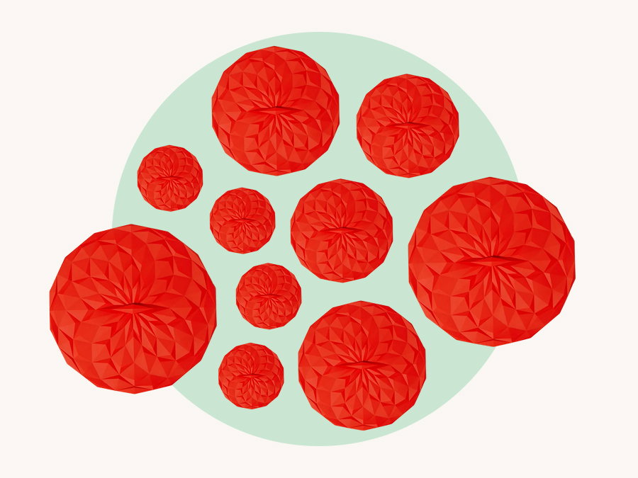 Suction Lid Set
