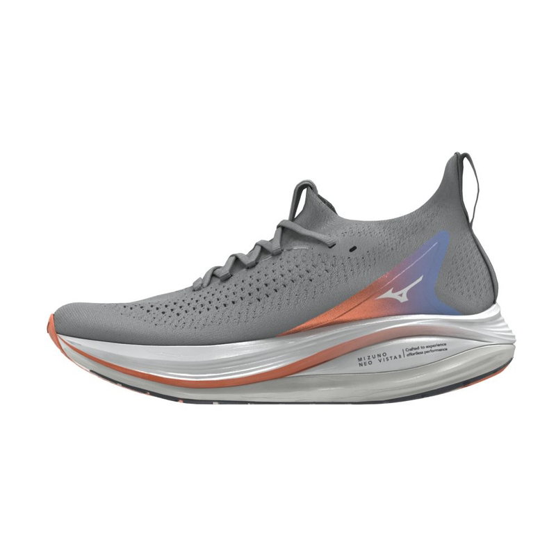 Zapatillas de running Neo Vista 2 Hombre (Gris)