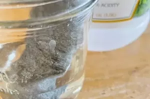 Fill a jar with steel wood and vinegar for a 30-minute decorating hack that couldn't be easier