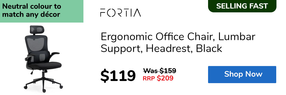 Ergonomic Office Chair, Lumbar Support, Headrest, Black