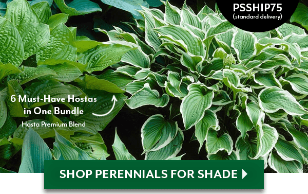 Lush Layers Made for the Shade + 25% OFF Sitewide with code GROW25