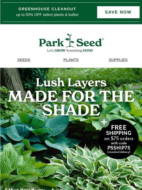 Shade Lovers, up to 50% OFF!