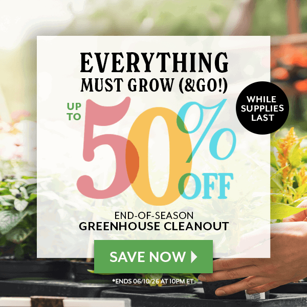 end of season sale up to 40% off while supplies last