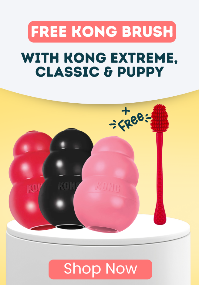 FREE KONG Cleaning Brush with KONG*