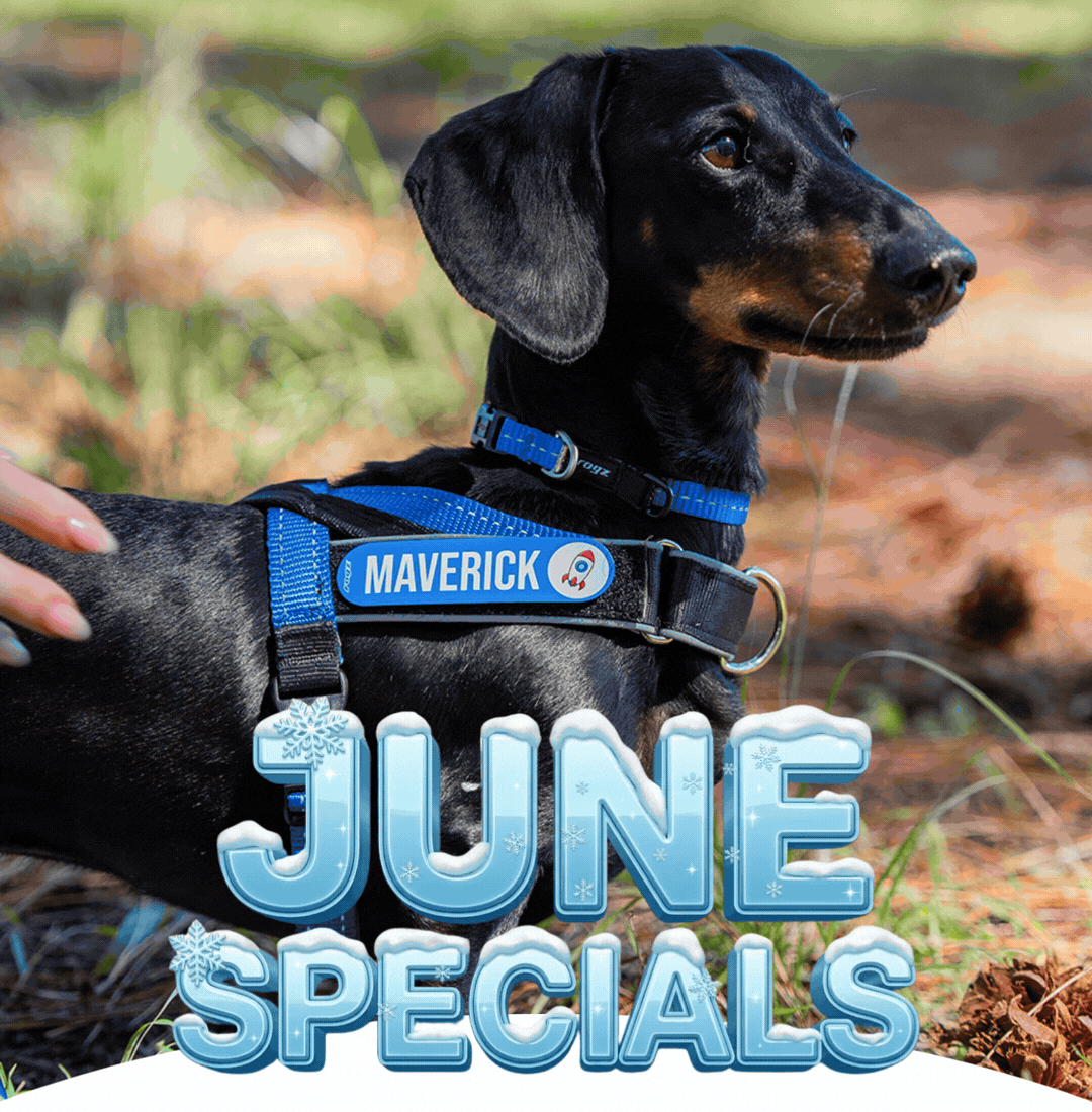 Check Out This Months Specials