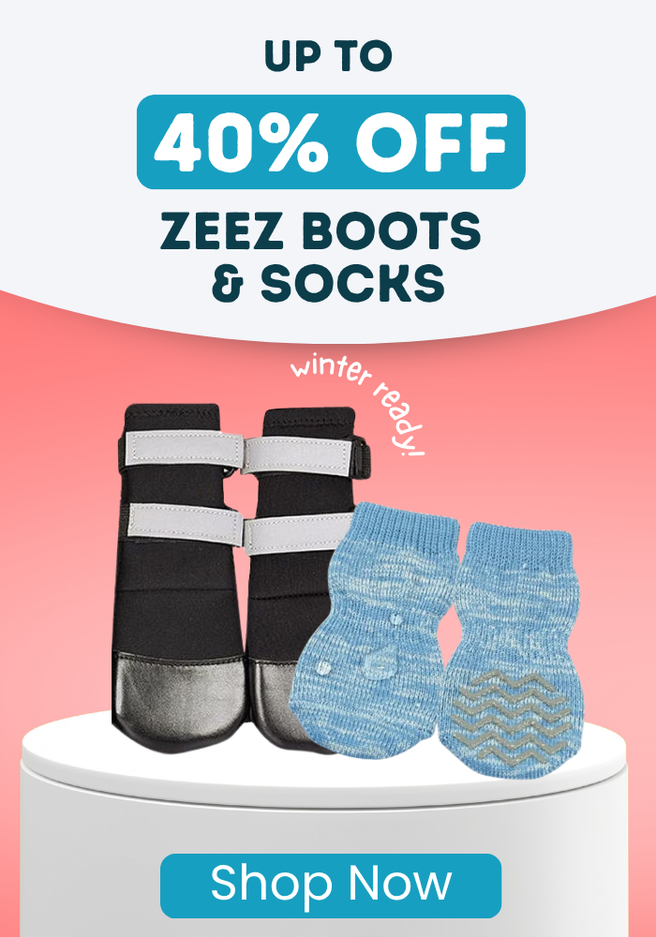Up to 40% OFF ZEEZ Socks & Boots