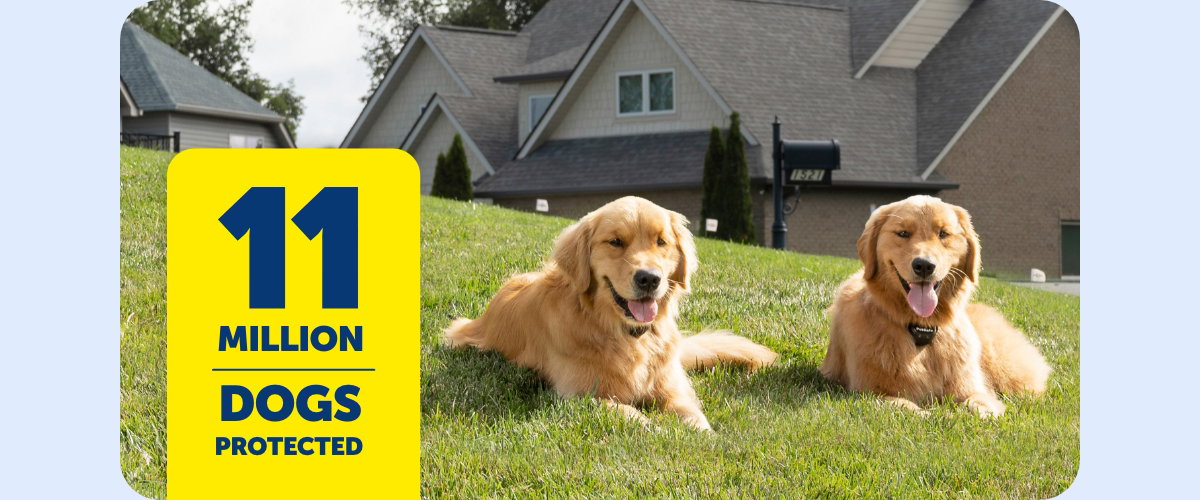 11 million dogs protected by PetSafe fences