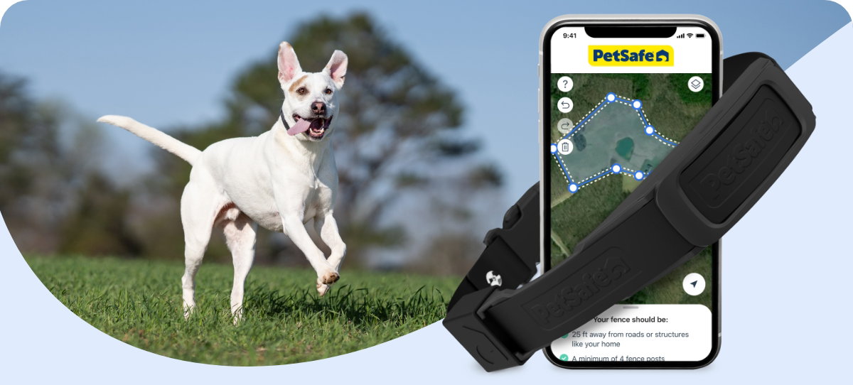 Dog running and image of GPS Dog Fence Collar and app