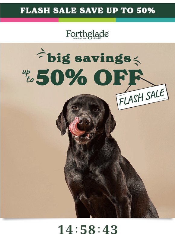 Hurry! Up To 50% Off Everything! 🐾
