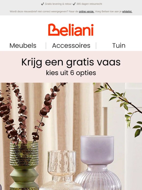 Krijg een gratis vaas bij je bestelling 🎁