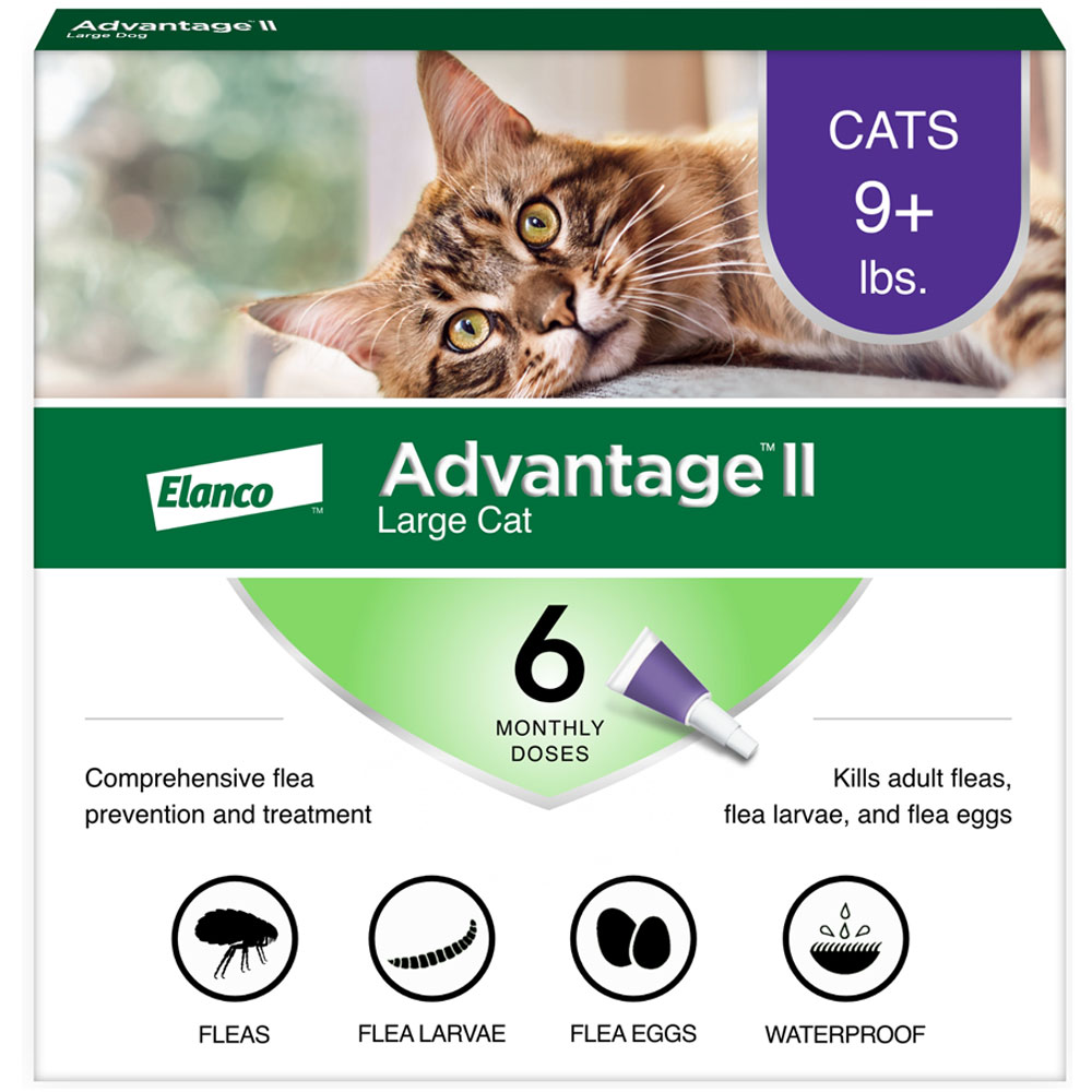 Image of Advantage II Flea Control for Large Cats Over 9 lbs, 6 Month