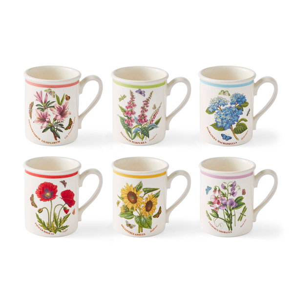 Botanic Garden Meadow Breakfast Mug Set of 6