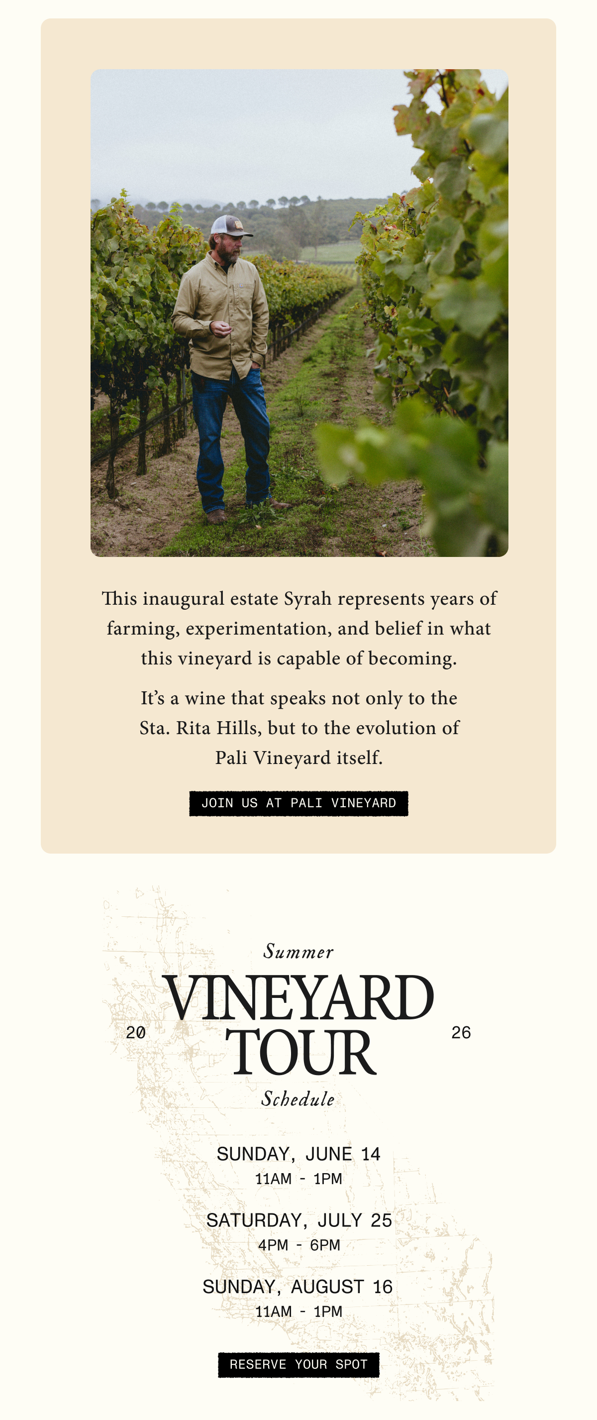 Summer Vineyard Tours of our Sta. Rita Hills estate
