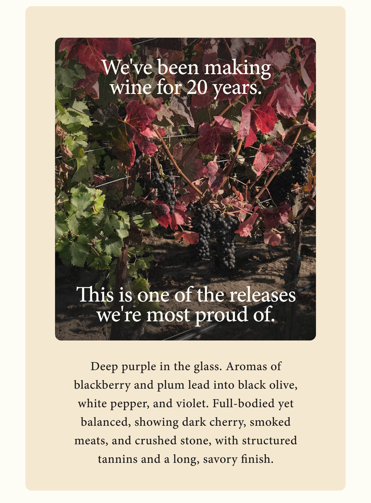 Learn More: Why We Planted Syrah in the Sta. Rita Hills