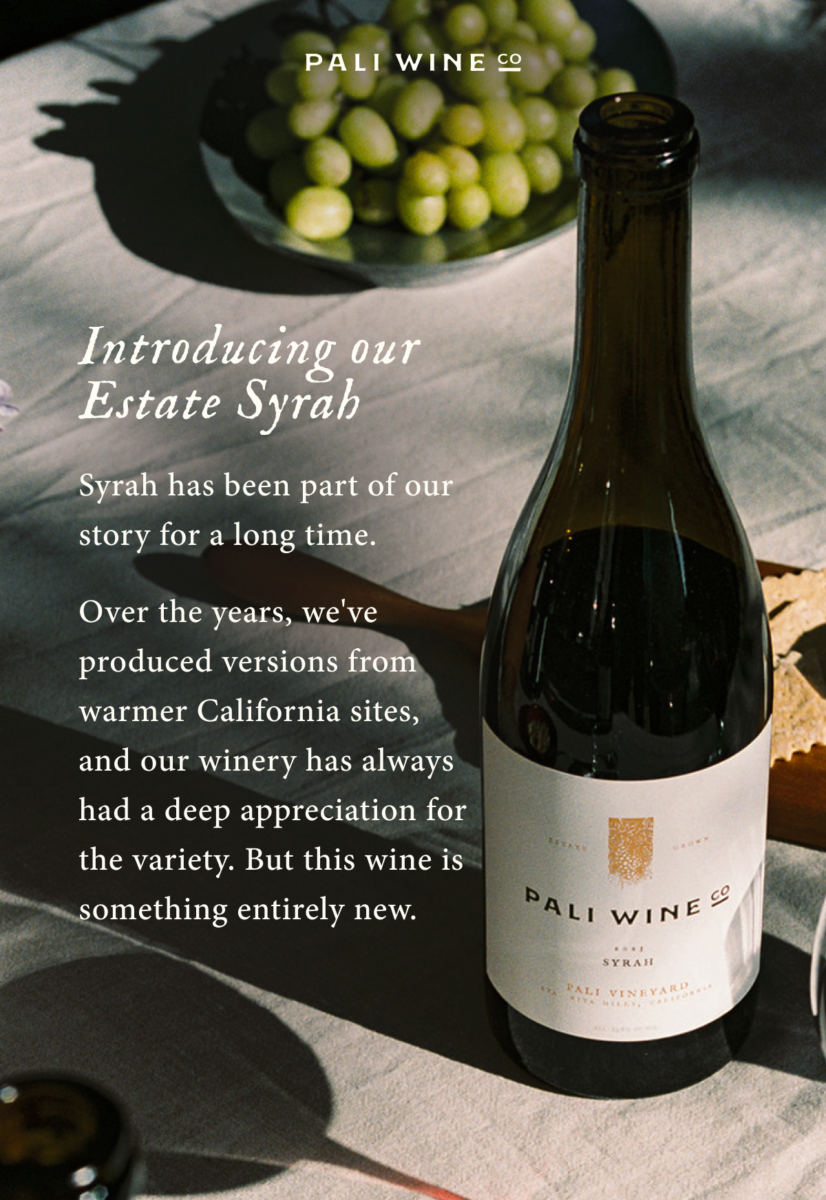 Coming Soon: 2023 'Pali Vineyard' Syrah
