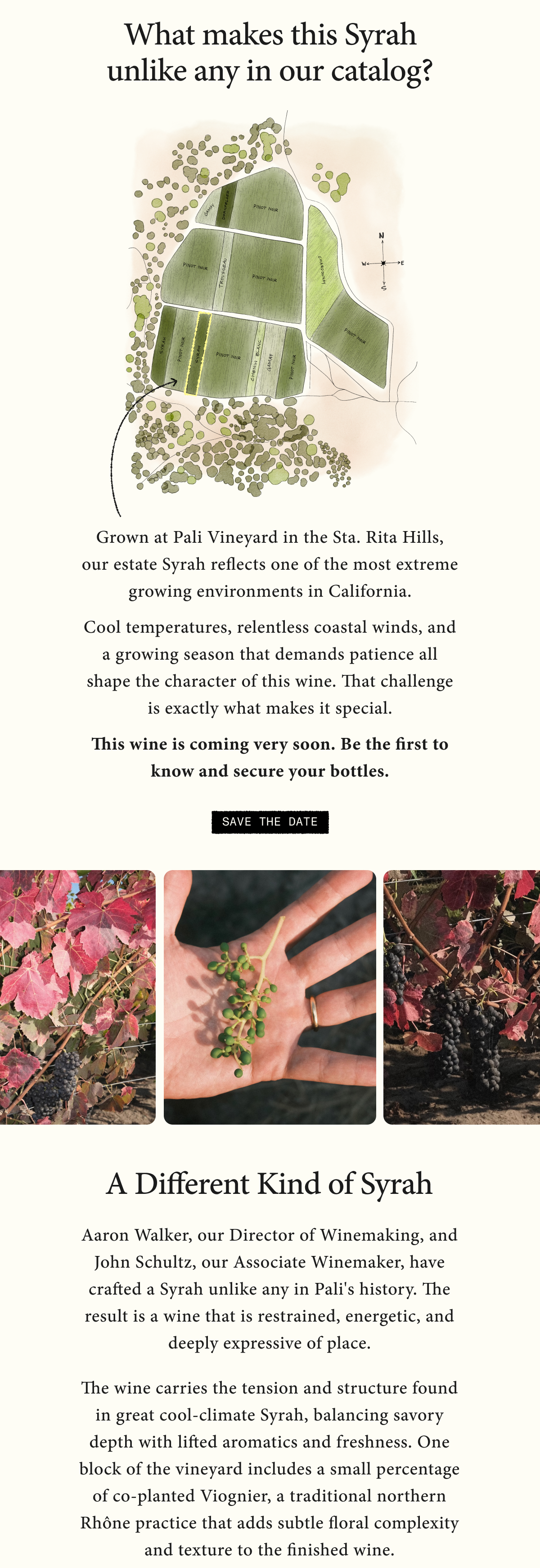Coming Soon: 2023 'Pali Vineyard' Syrah