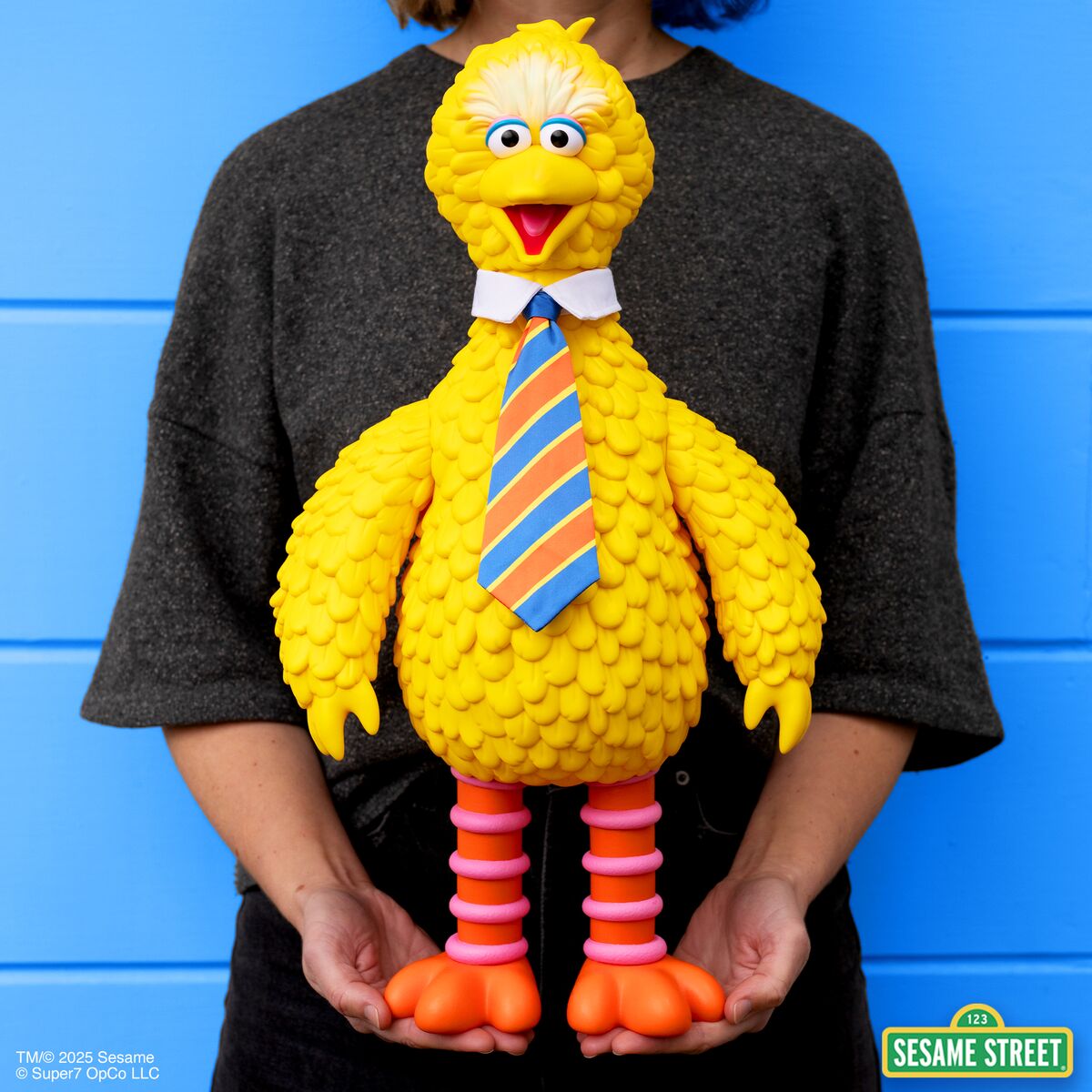 Sesame Street SuperSize - Big Bird