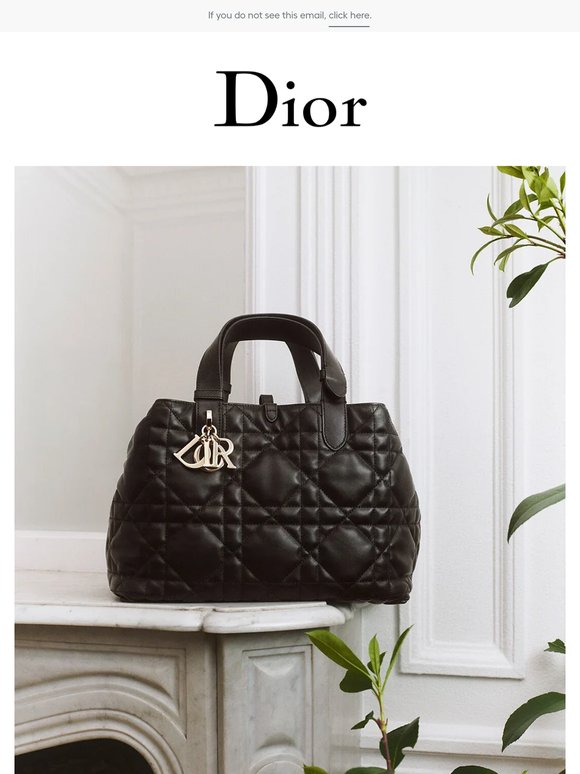 Dior Bags: Iconic Silhouettes and New Shapes