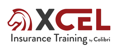 XCEL24_Logo_RGB_Color-1