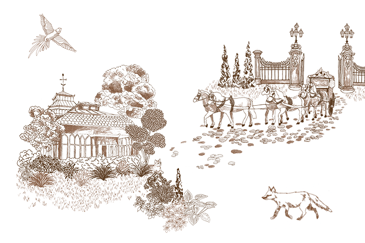 London Toile. Shop Now.