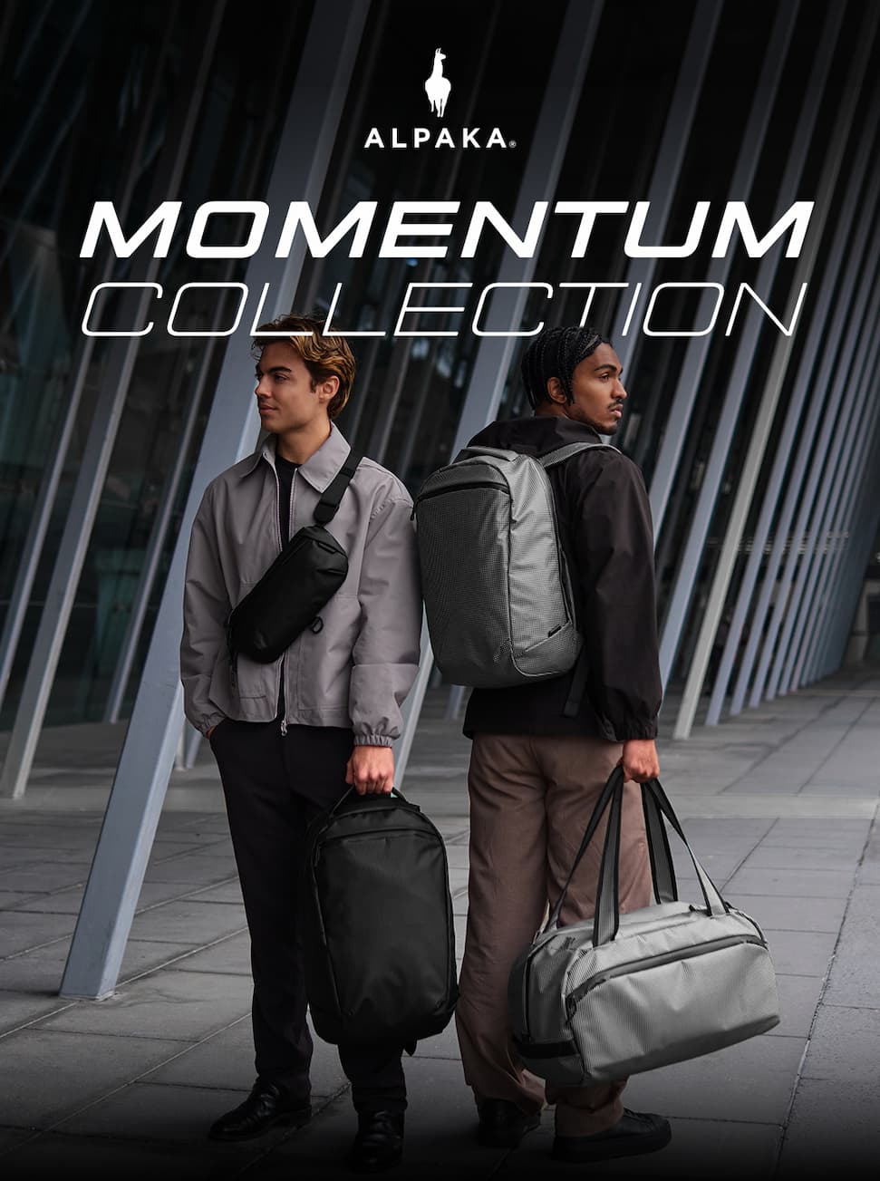 MOMENTUM COLLECTION