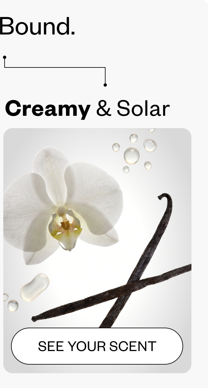 Creamy & Solar
