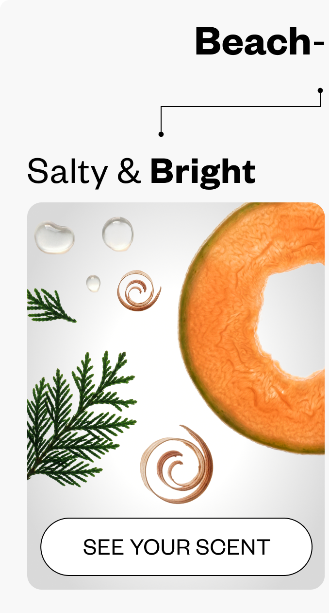 Salty & Bright