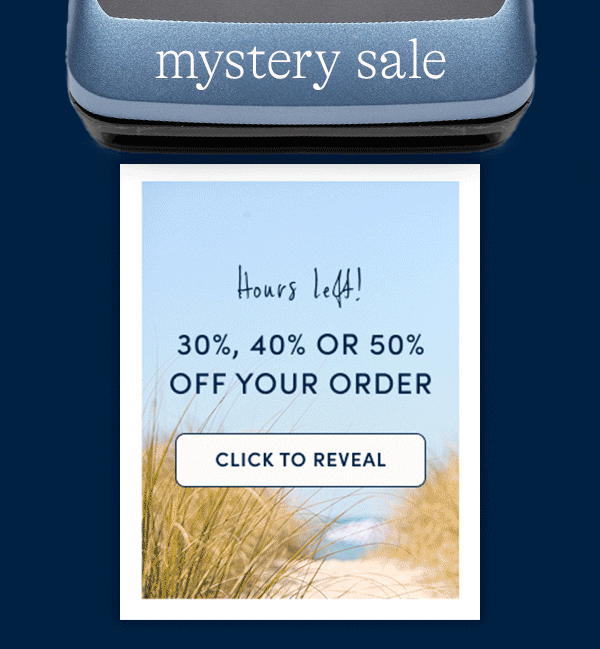 Mystery Sale