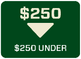 Shop Merch $250 & Under