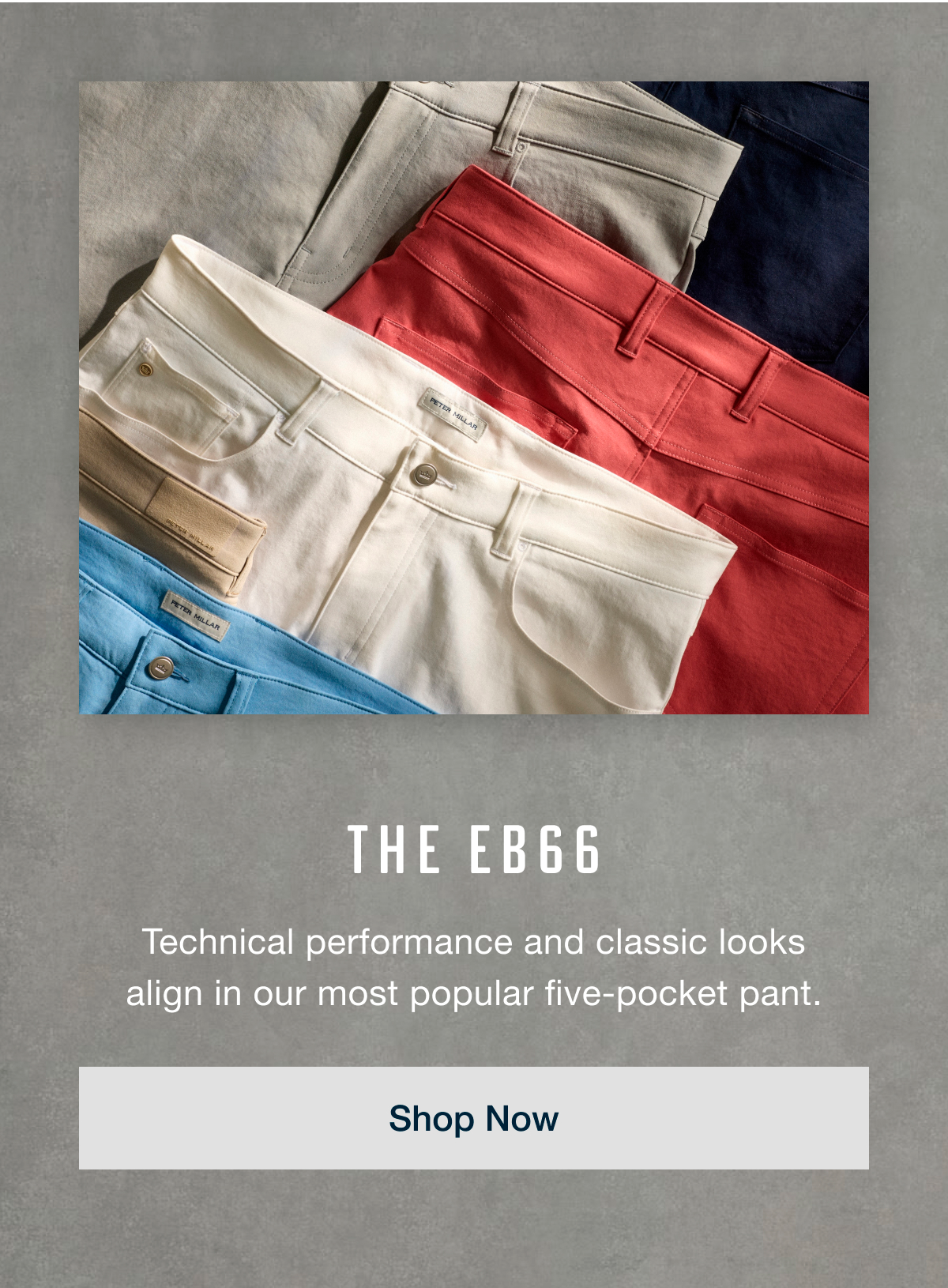 The EB66 | Shop Now