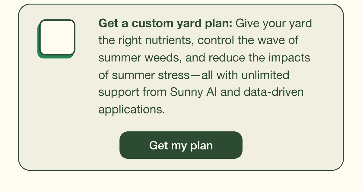 Get my plan
