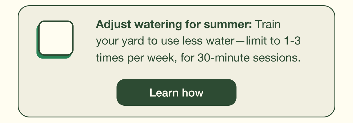 Learn how