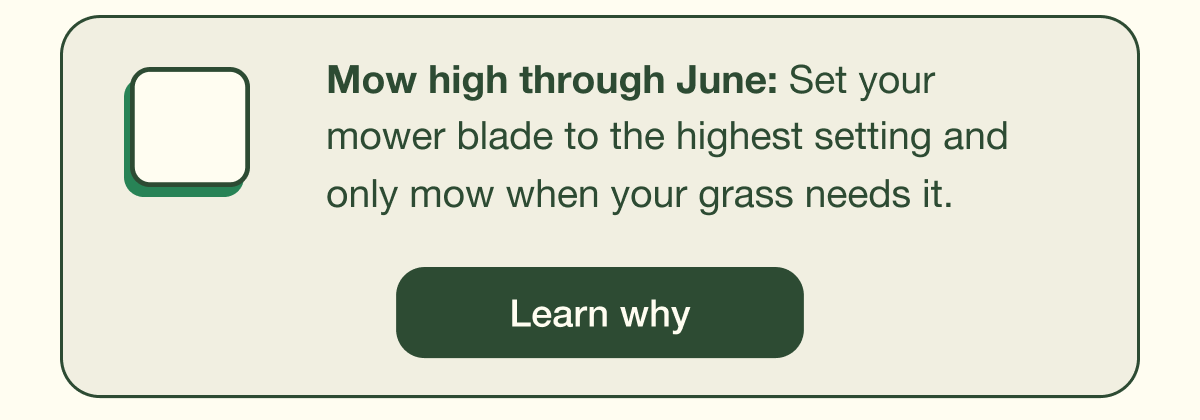 Learn why