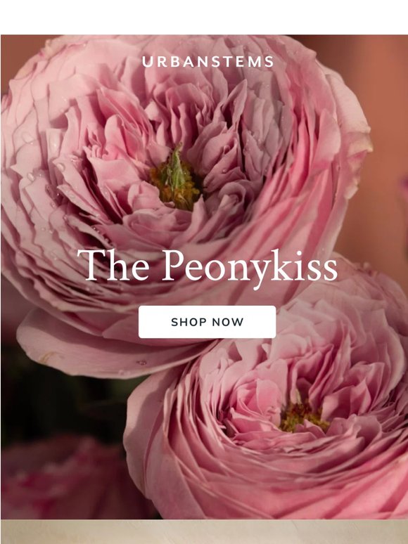 Limited edition: The Peonykiss