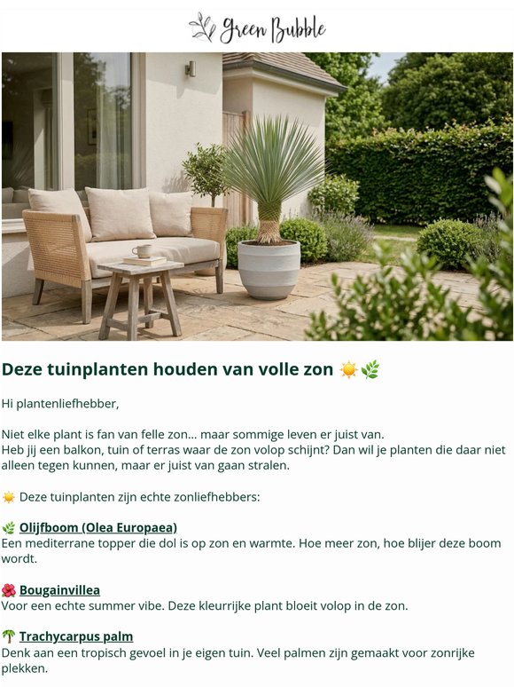 Deze tuinplanten kunnen tegen felle zonnestralen☀️