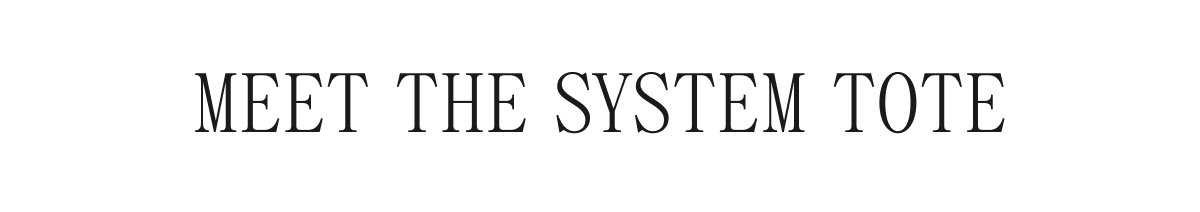 MEET THE SYSTEM TOTE 