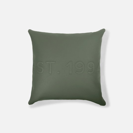 Shop the Pillows >